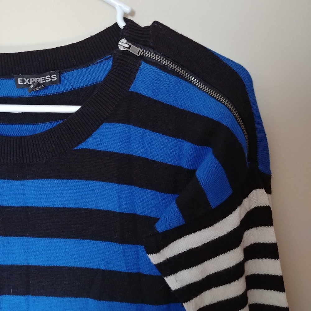 Express Stripped Long Sleeve Sweater Dress
